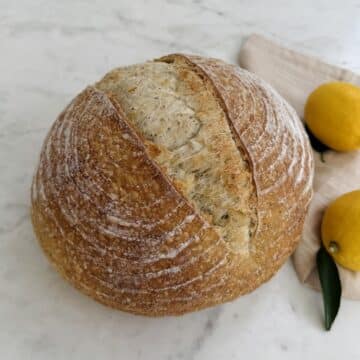 North Florence Bakehouse: Artisan Poppyseed Sourdough