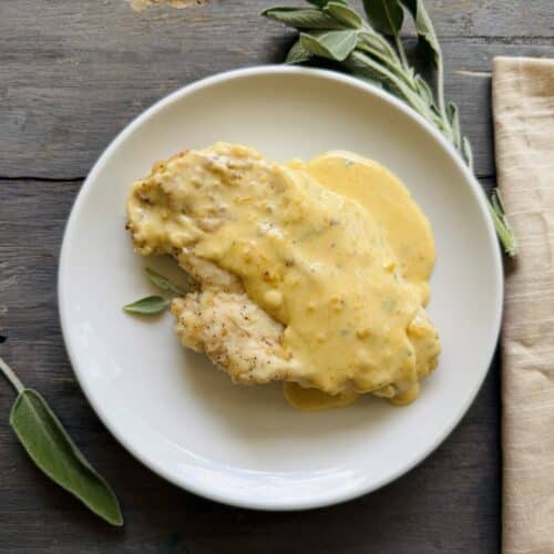 Creamy butternut squash chicken