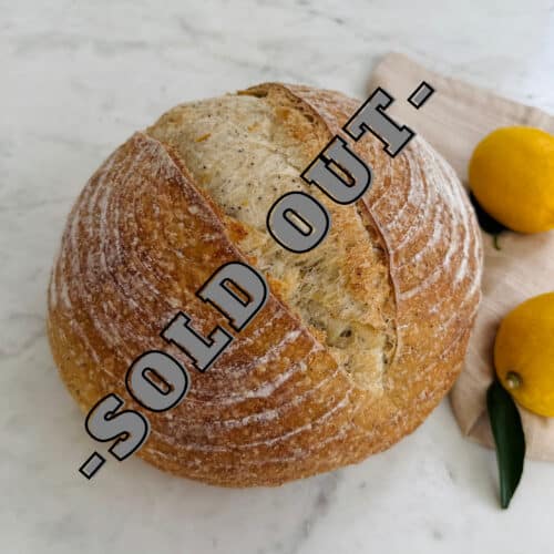 North Florence Bakehouse: Artisan Poppyseed Sourdough