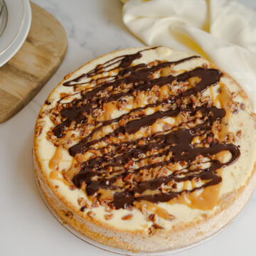Turtle cheesecake